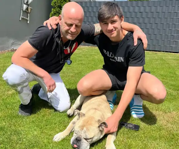 Bulldogge entspannt nach tierärztlicher Versorgung